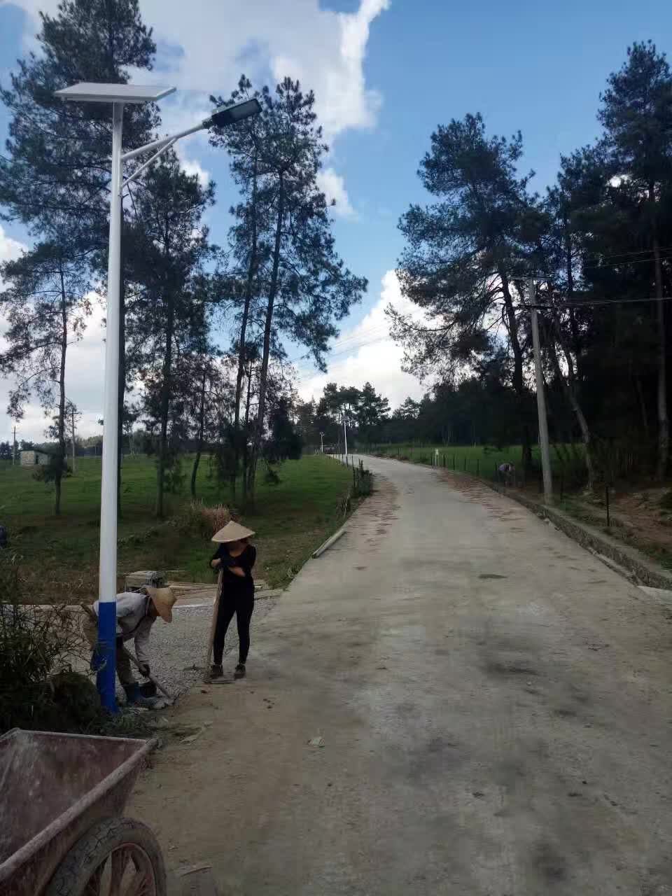 項目案例